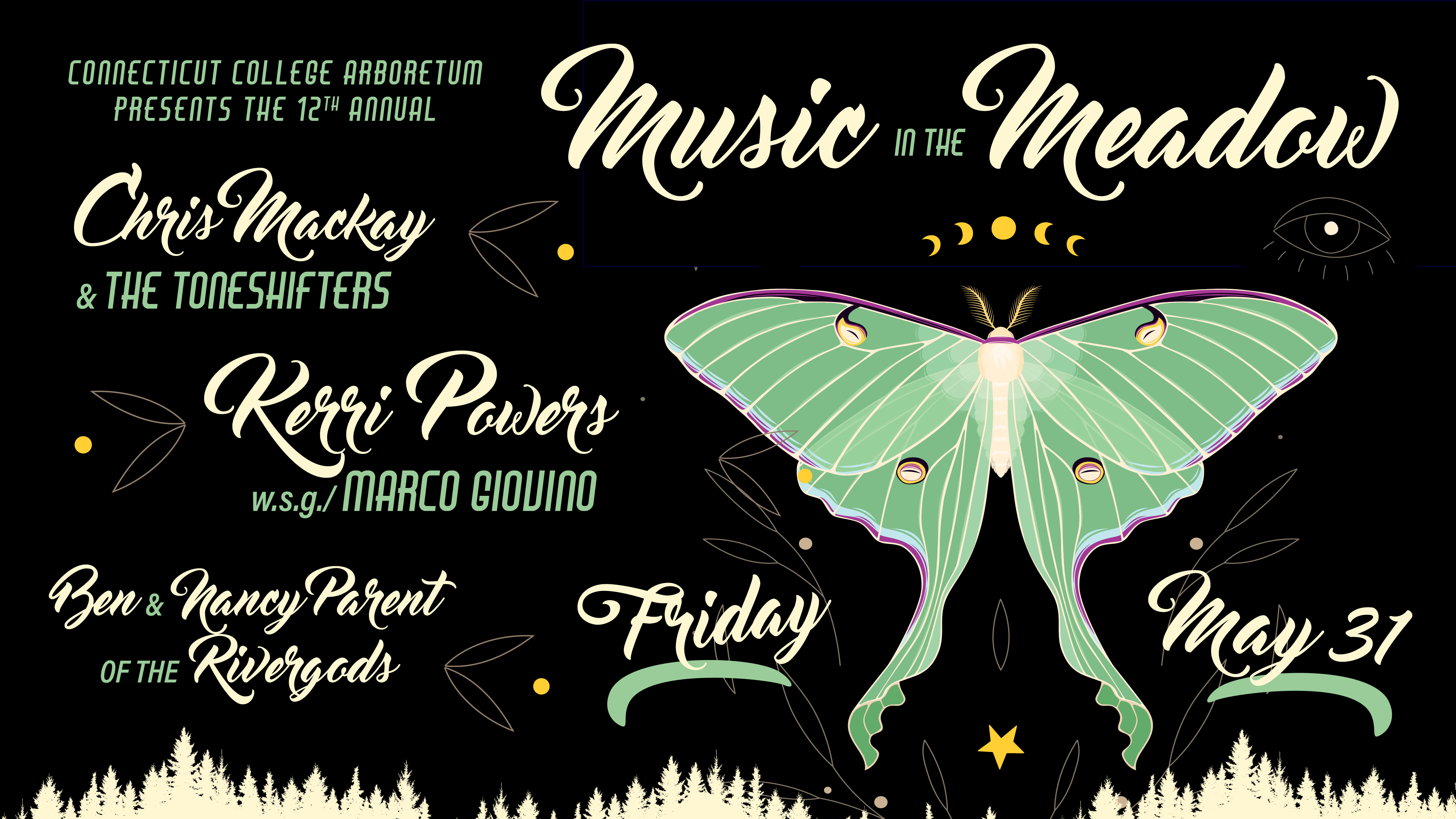 Music in the meadows poster