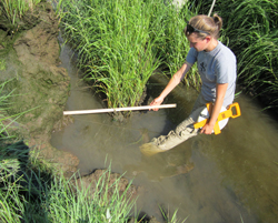 Clara Chaisson '12 measures slumped areas of marsh