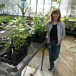 Botany professor Rachel Spicer poses with plants inside Connecticut College's newly renovated greenhouse.