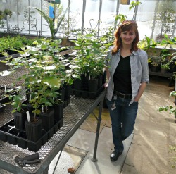 Botany professor Rachel Spicer poses with plants inside Connecticut College's newly renovated greenhouse.