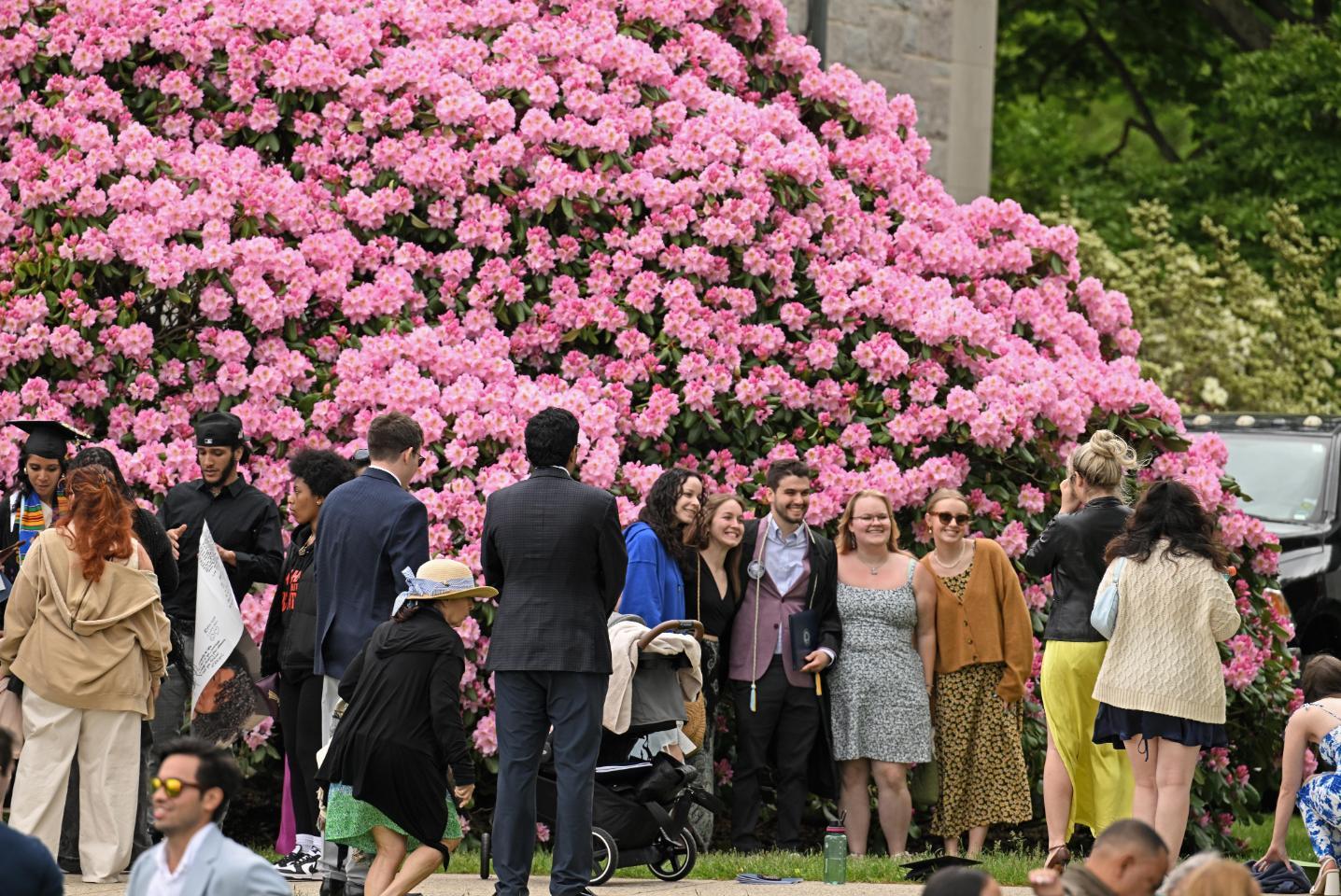 Students and families pose under rhododendron during Commencement 2024