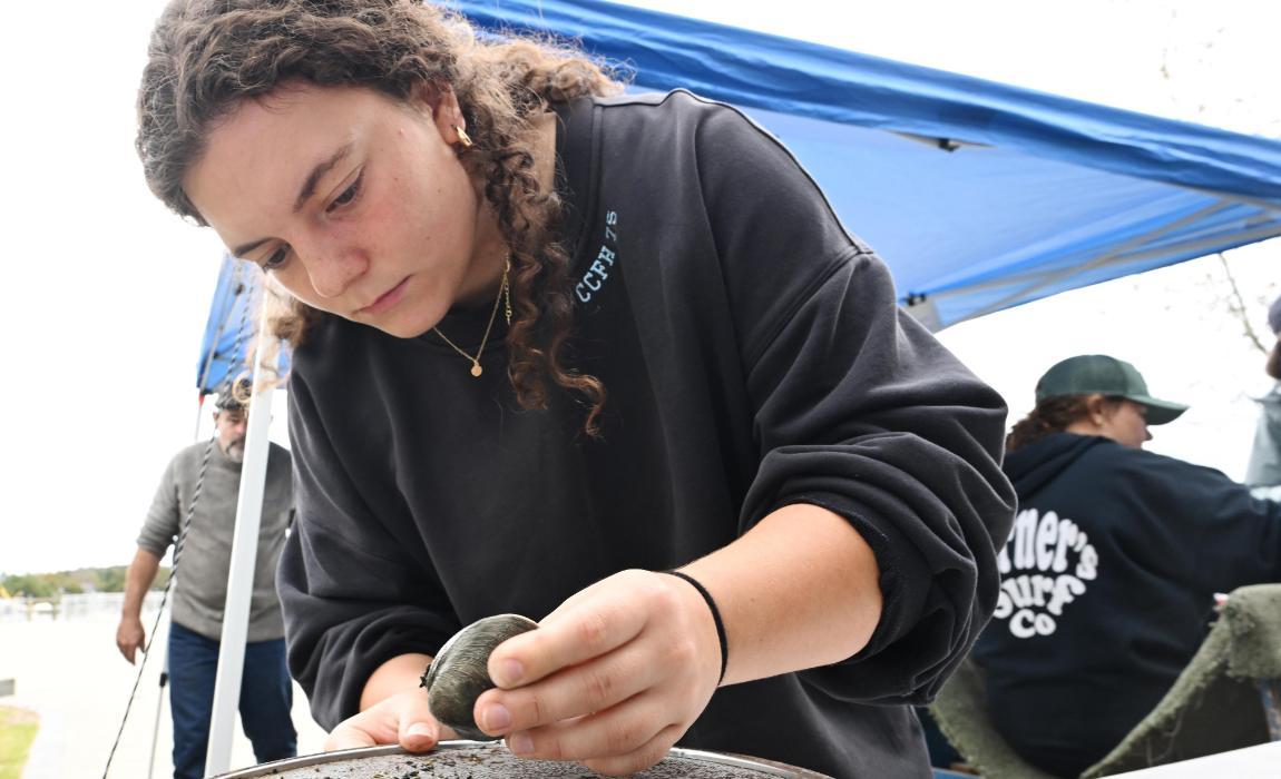 A student glues eel grass to a clam.