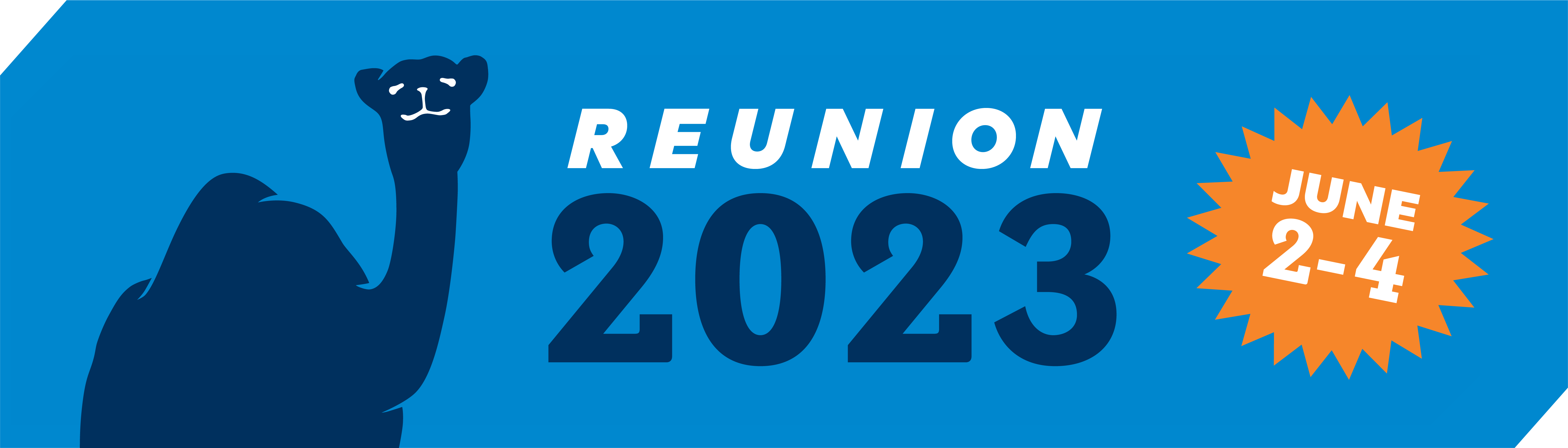 reunion 2023 2-4 banner