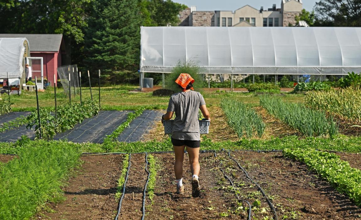 A student walking through the Sprout Garden.