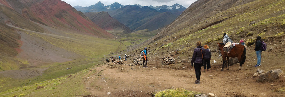 Anthropology students walking through a vast field in Peru