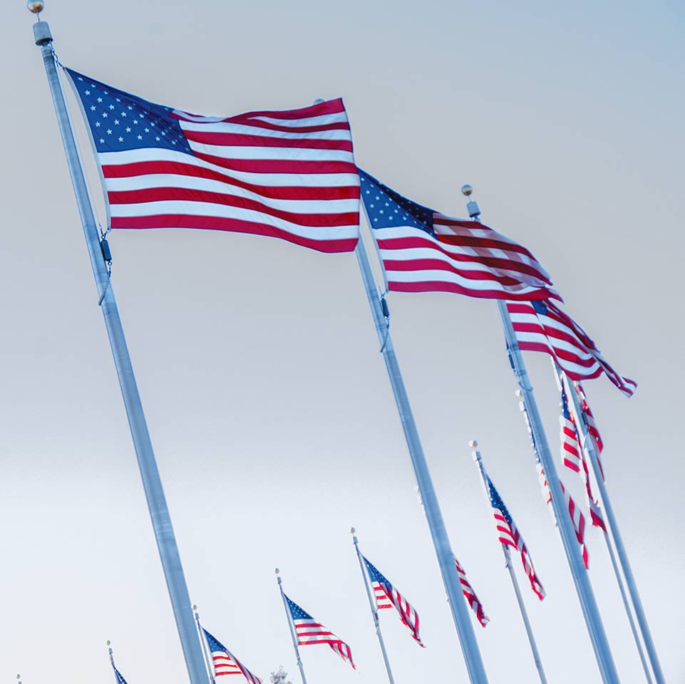 Image of American flags blowing in wind