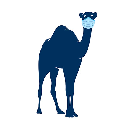 The Camel graphic mascot wears a mask