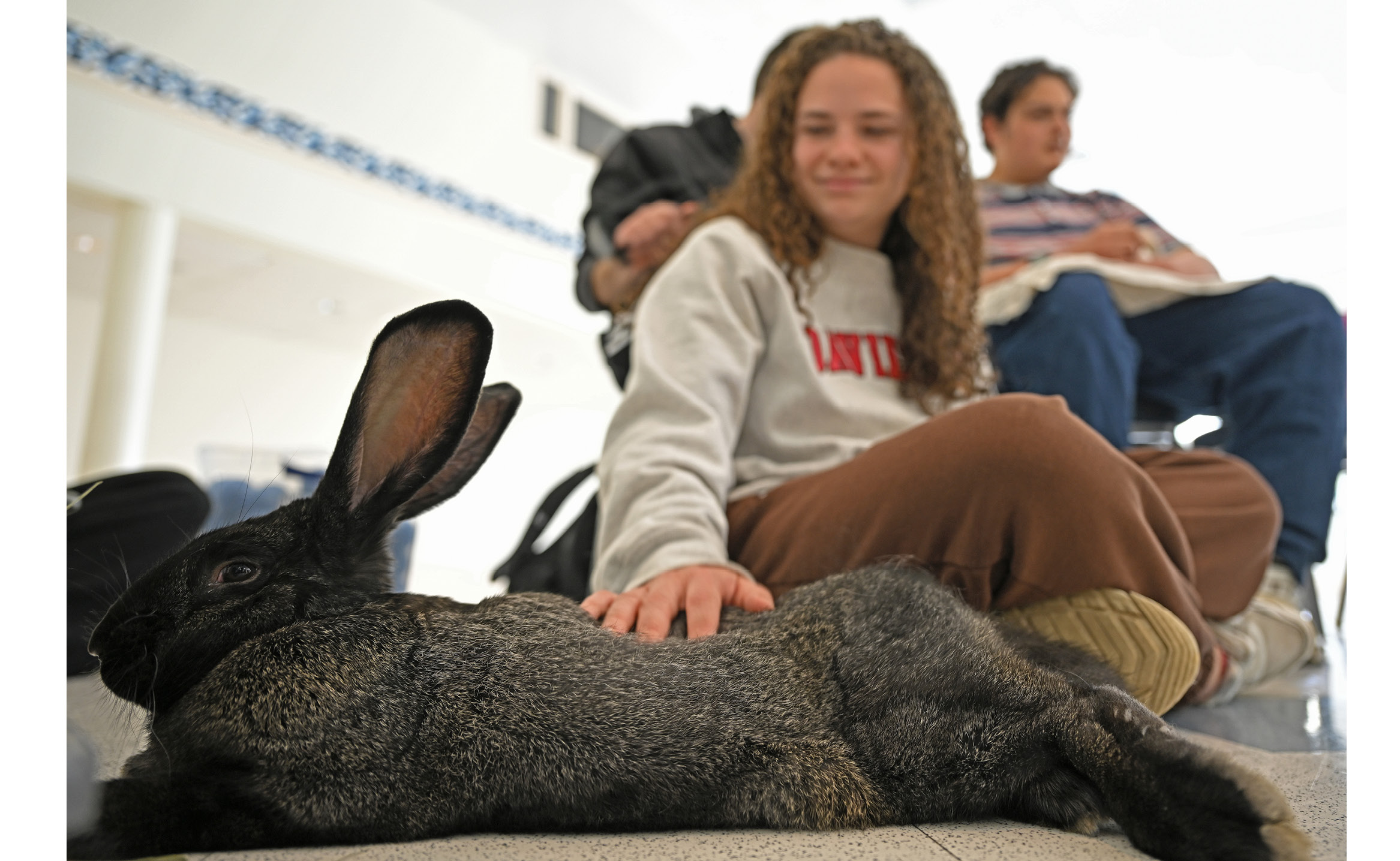 Students play with animals on campus to de-stress at a petting zoo from Warm and Fuzzy Animal Adventures Wednesday, April 19, 202