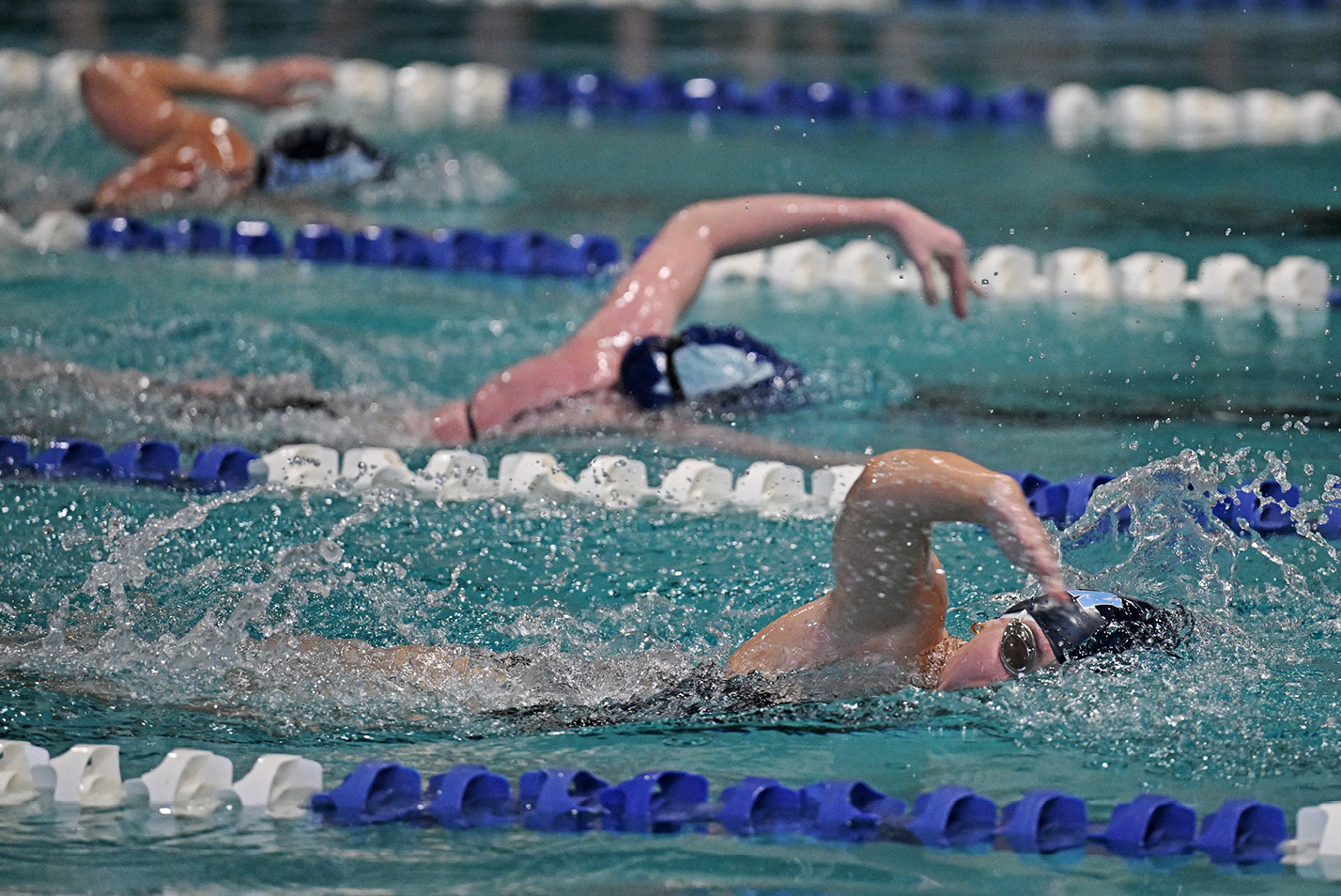 Female swimmers do the crawl stroke