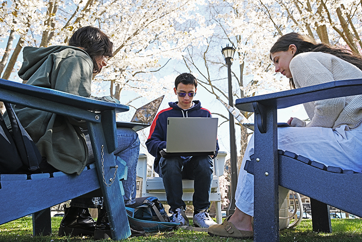 three students in Adirondack chairs study under a canopy of blooming cherry trees.