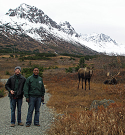 James O'Connor '13 (left) and William Tarimo '12 encounter moose on a hike through the Alaskan wilderness with professor Gary Parker.