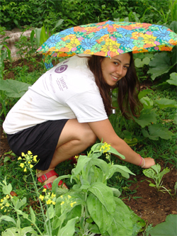 Natalie Theys '11 weeds the Sprout! organic garden under cover of an umbrella.