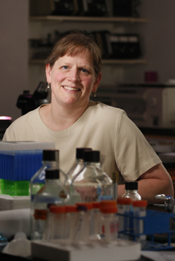 Biology professor Anne Bernhard has won a $202,902 grant to explore the effects of the April 2010 Deepwater Horizon oil spill on the salt marshes that line the Louisiana coast.