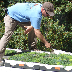 An employee of Prides Corner Farms in Lebanon, Conn., installs the green roof on Cro-Bar.
