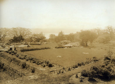 The Caroline Black Garden in the 1930s.