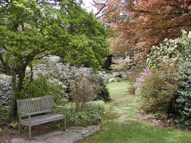 A bench in the Caroline Black Garden.