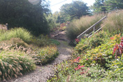 Entry path in the Caroline Black Garden.